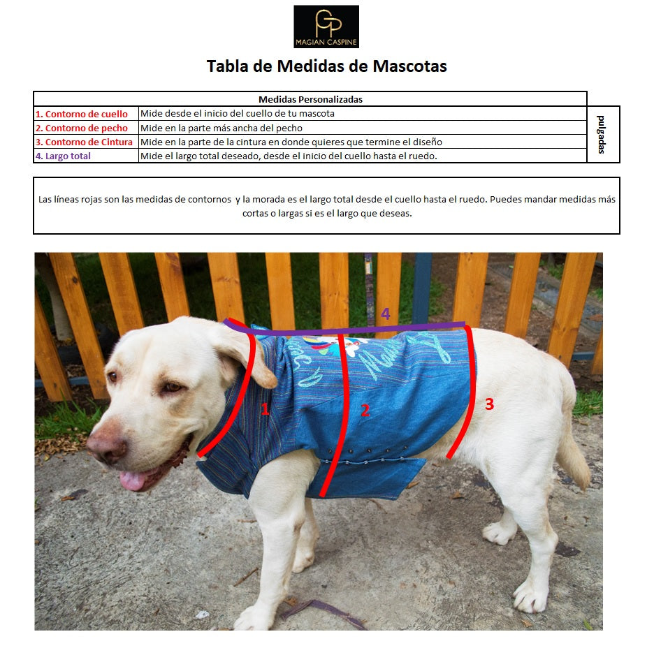 The Iris Denim Rainbow Pet Blazer