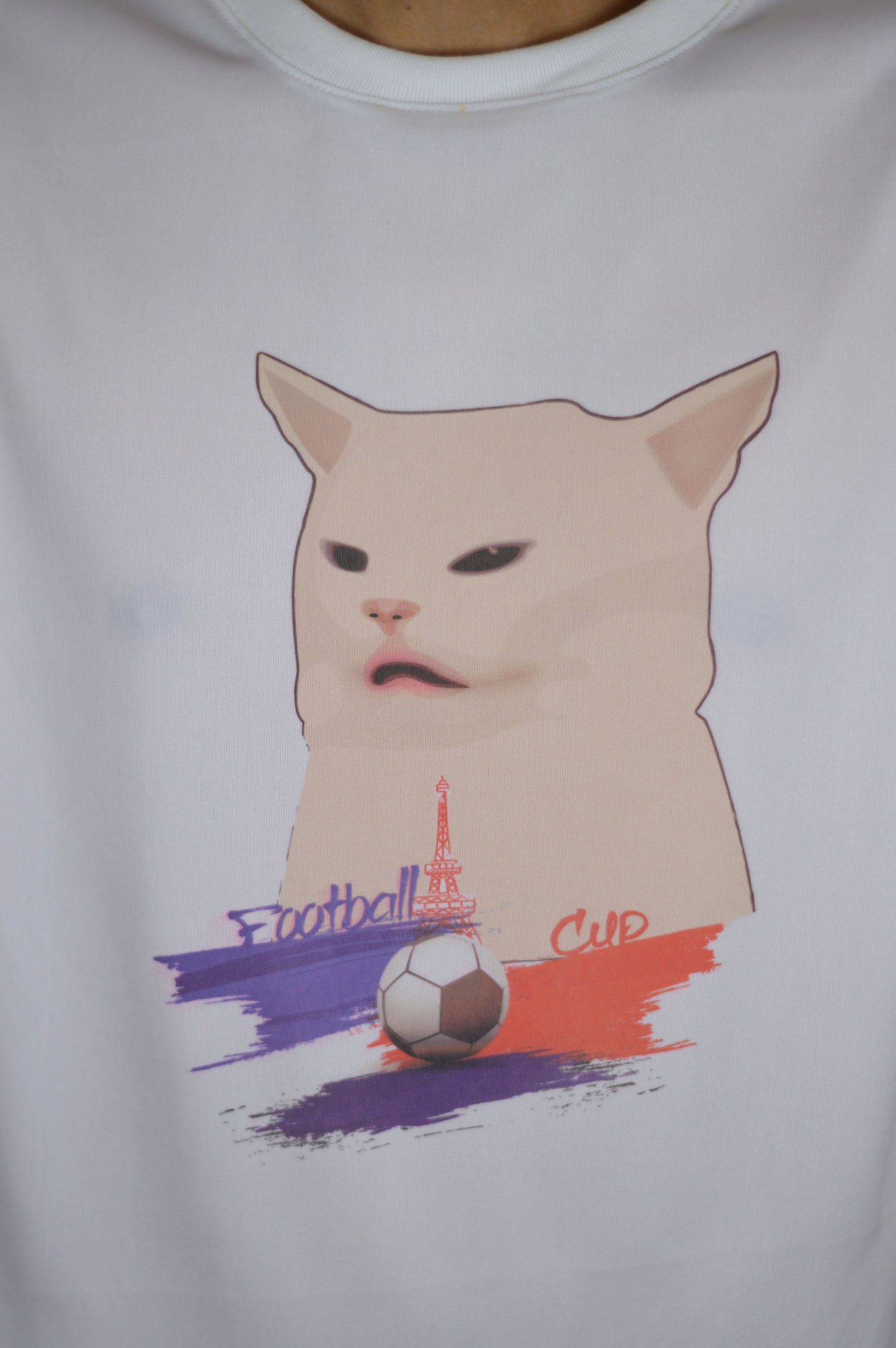 🇫🇷🗼🐱⚽France´s Cat⚽🐱🗼🇫🇷