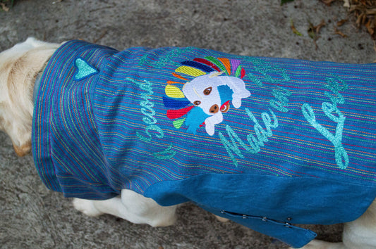 The Iris Denim Rainbow Pet Blazer